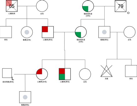 家庭圖關係線|附錄 9 製作家系圖(Genogram)